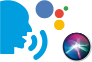 Voice assistant